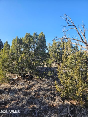 1856 Rainbow Cir #-, Show Low, AZ 85901