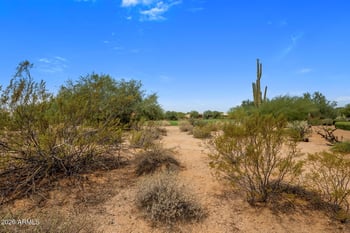 18607 Hierro Cir, Rio Verde, AZ 85263