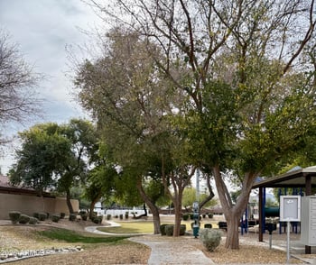 18611 22nd St #44, Phoenix, AZ 85024