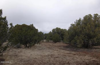 1862 Pronghorn Rd #31, Show Low, AZ 85901