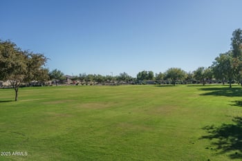 18620 Diana Ave, Waddell, AZ 85355