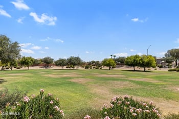 18624 Mountain View Rd, Waddell, AZ 85355