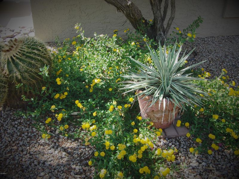 18630 E Mazatzal Cir, Rio Verde, AZ 85263