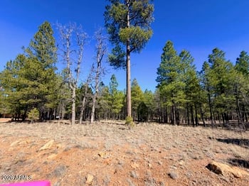 1865 Pine Canyon Dr #168, Happy Jack, AZ 86024