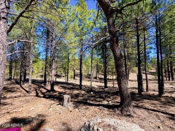 1865 Pine Canyon Dr #168, Happy Jack, AZ 86024