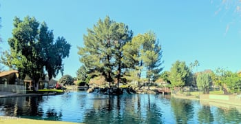 1871 Buffalo St, Chandler, AZ 85225