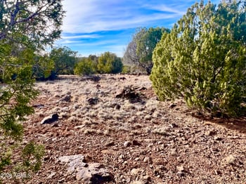 1877 Rainvow Cir #-, Show Low, AZ 85901