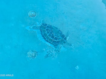 18789 Jefferson St, Buckeye, AZ 85326