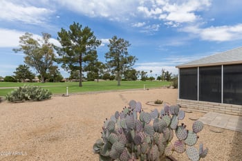 18802 Palo Verde Dr, Sun City, AZ 85373