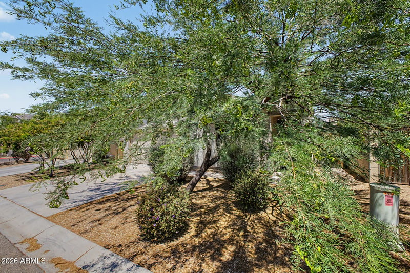 1882 Road Agent St, Apache Junction, AZ 85120