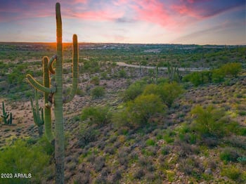 18881 Roper Rd, Wickenburg, AZ 85390