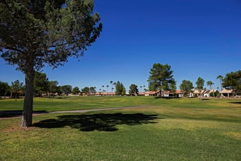 1892 E Peach Tree Dr, Chandler, AZ 85249
