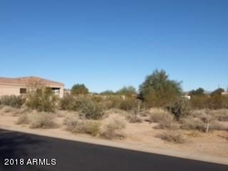 18948 E Lazo Ct #463, Rio Verde, AZ 85263