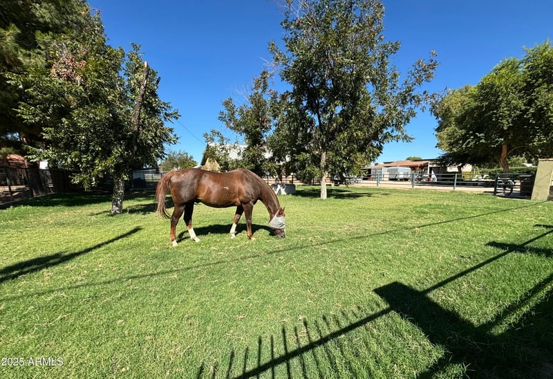 18950 Via De Palmas --, Queen Creek, AZ 85142
