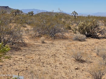 190 Mary Pl #11, Yucca, AZ 86438