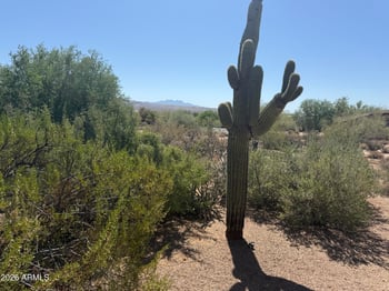 19020 Buckskin Dr #7, Rio Verde, AZ 85263