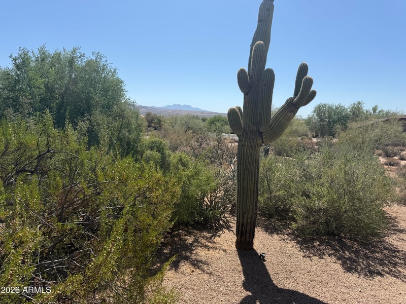 19020 E Buckskin Dr #7, Rio Verde, AZ 85263