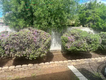 1910 Sandra Ter, Phoenix, AZ 85022