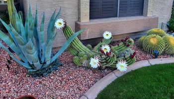 19122 98th Ln, Peoria, AZ 85382