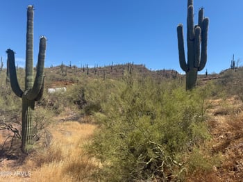 1913 E Mariola -- #-, Phoenix, AZ 85086