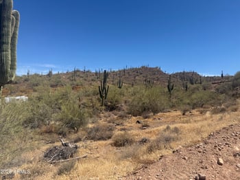 1913 E Mariola -- #-, Phoenix, AZ 85086