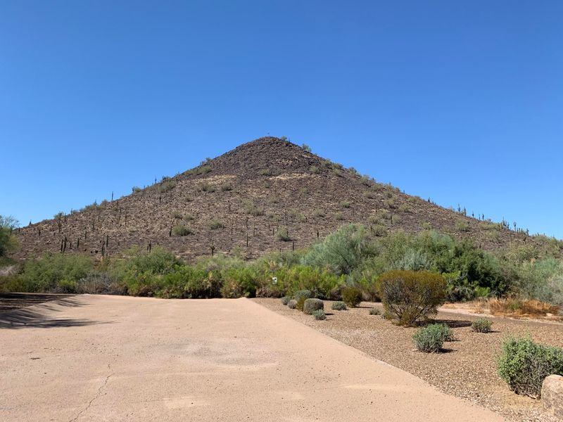 1913 E Parkside Ln, Phoenix, AZ 85024