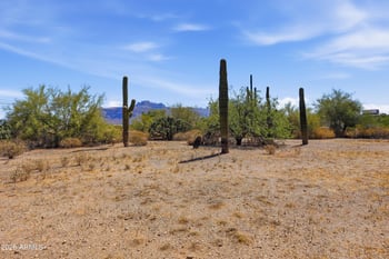 1920 18th Ave, Apache Junction, AZ 85119