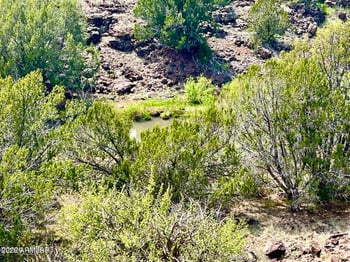 1922 Creekside Cir #-, Show Low, AZ 85901