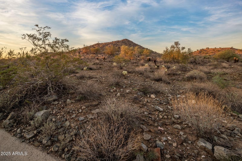 1922 Siesta Ln, Phoenix, AZ 85024