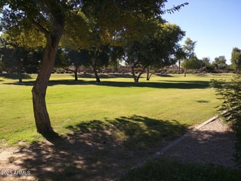 1924 Mockingbird Dr, Chandler, AZ 85286