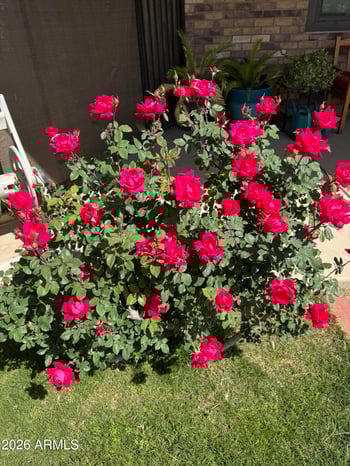 19312 Via De Palmas --, Queen Creek, AZ 85142