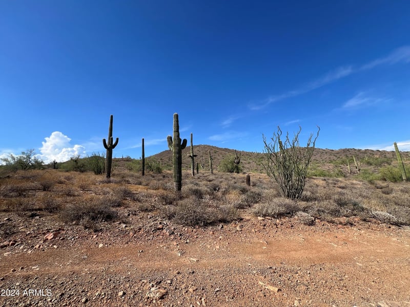 1933 E Tanya Rd #-, Phoenix, AZ 85086