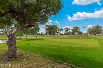 19417 Palo Verde Dr, Sun, AZ 85373