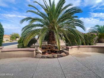 19417 Tallowood Way, Surprise, AZ 85387