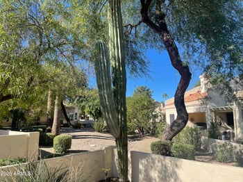 19420 Westbrook Pw #521, Peoria, AZ 85382