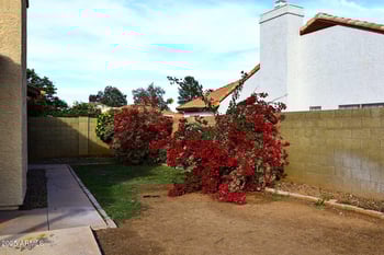 1971 Buena Vista Dr, Tempe, AZ 85284