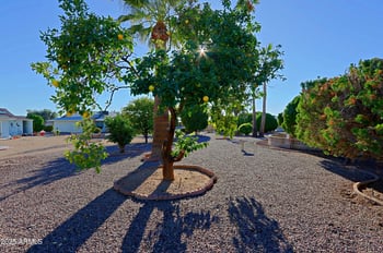 19831 Signal Butte Cir, Sun City, AZ 85373