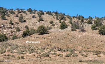 200 Acre Ranch #B, Williams, AZ 86046