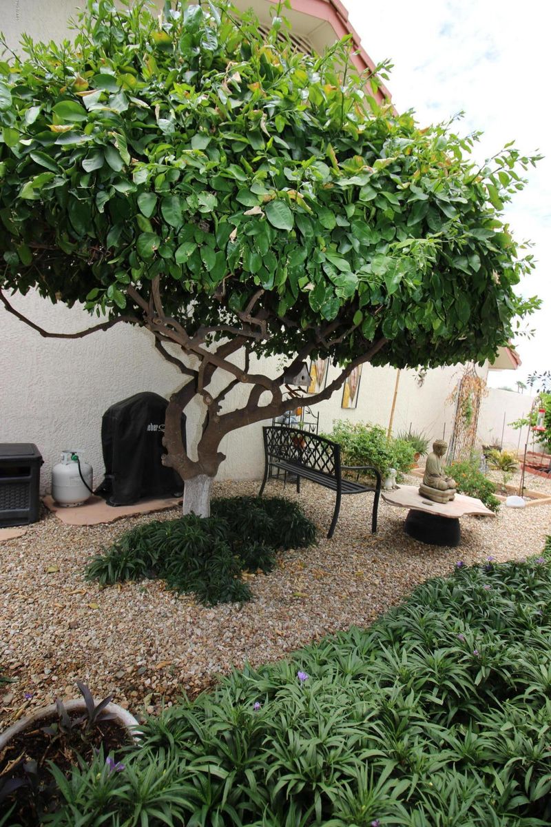 20018 N Alta Loma Dr, Sun City West, AZ 85375