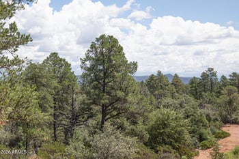 2002 Thunder Mountain, Payson, AZ 85541