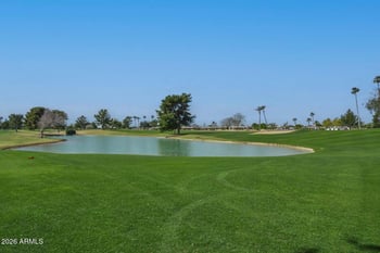 20038 106th Dr, Sun, AZ 85373