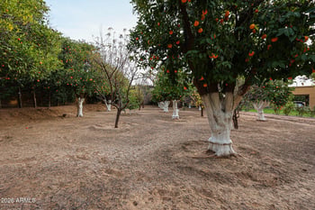 2005 Pomelo --, Mesa, AZ 85215