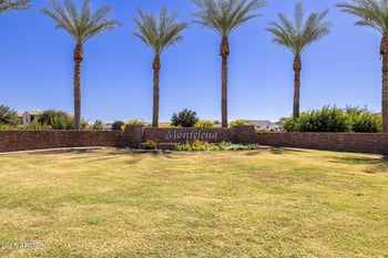 20162 Via Del Palo --, Queen Creek, AZ 85142
