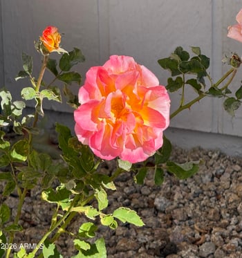 20219 125th Ave, Sun City West, AZ 85375