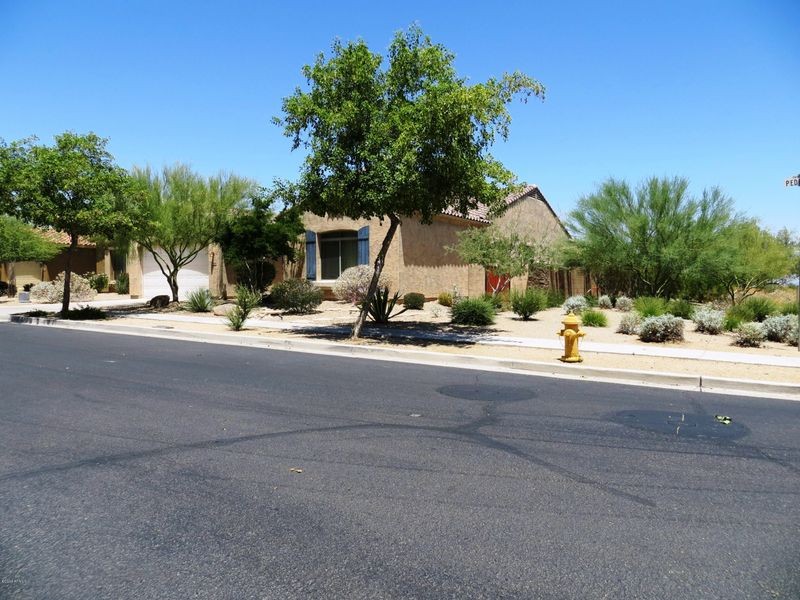 2030 E Pedro Rd, Phoenix, AZ 85042