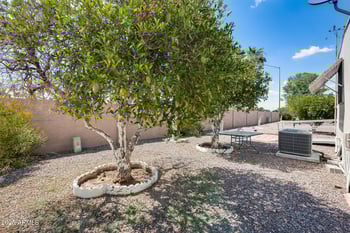 205 Higley Rd #293, Mesa, AZ 85206
