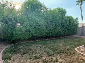 2054 Los Alamos --, Mesa, AZ 85213