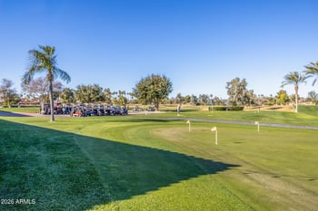 20624 135th Ave, Sun City West, AZ 85375