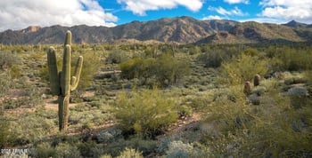20643 226th Dr, Surprise, AZ 85387