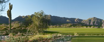 20658 Berridge Ln, Buckeye, AZ 85396